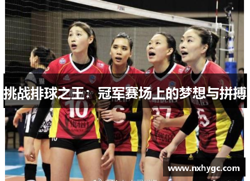 挑战排球之王：冠军赛场上的梦想与拼搏